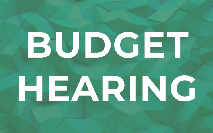 White text "Budget Hearing" on green background